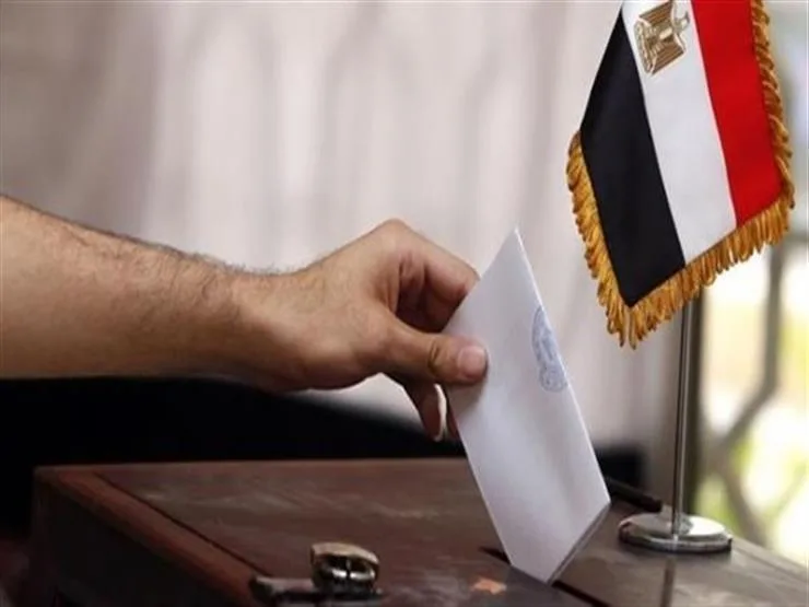 محافظة القاهرة: العملية الانتخابية تسير على نحو جيد