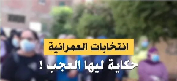 فيديو جديد يكشف التلاعب بانتخابات "النواب" في الجيزة