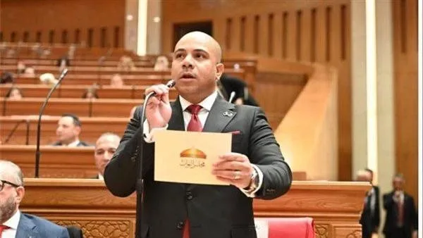 النائب علي خليفة يتقدم بطلبَي إحاطة بشأن تدهور وإغلاق بيوت الثقافة ببولاق الدكرور