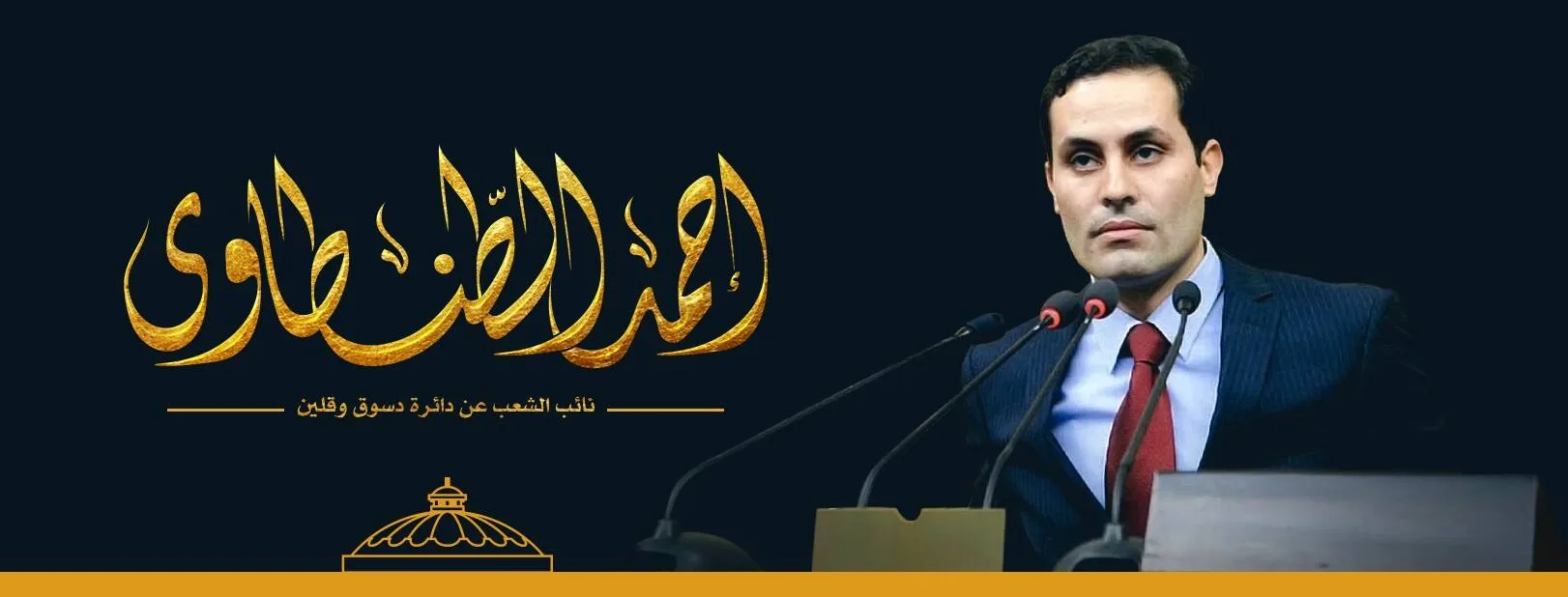 تحالفات الإعادة في كفر الشيخ.. طنطاوي يغرد خارج السرب
