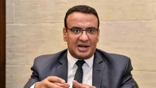 المتحدث باسم مجلس النواب: حديث الخارجية التركية عن ثورة 30 يونيو مرفوض من كل المصريين