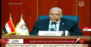 انطلاق المرحلة الثانية للانتخابات للمصريين في الخارج 2و 3 نوفمبر