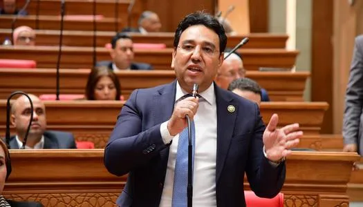 النائب أيمن محسب يتقدم بطلب إحاطة بشأن إطلالات الفنانين المثيرة للجدل في الفعاليات الفنية والحفلات العامة