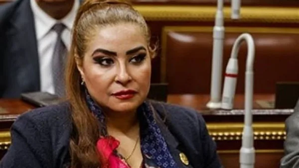 بايدن أو ترامب .. النائبة غادة عجمي: مصر يحكمها رئيس قوي و100 مليون سيسي