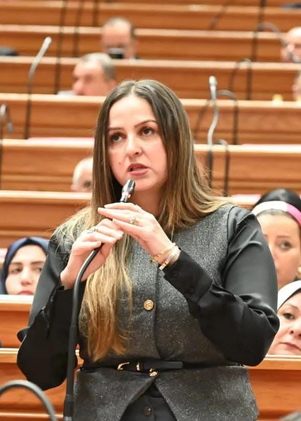 بيان عاجل من النائبة لبنى عبد العزيز للرد على مغالطات توصيل الغاز بشوارع بهتيم: «هذه المناطق لم تكن ضمن خطة الشركة من الأساس»