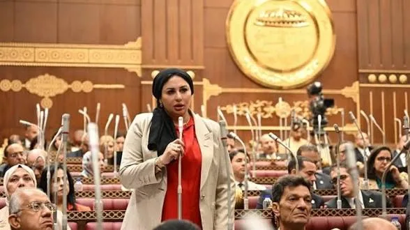 النائبة شيرين صبري تتقدم بمقترح برلماني لتغيير مسمى «ربة منزل» لـ«صانعة جيل» ببطاقة الرقم القومي