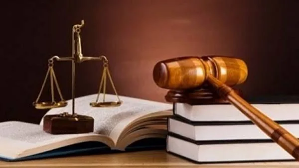 ستات قادرة.. متضررو قانون الأحوال الشخصية: 37% من الرجال يُعنفوا من قبل زوجاتهم