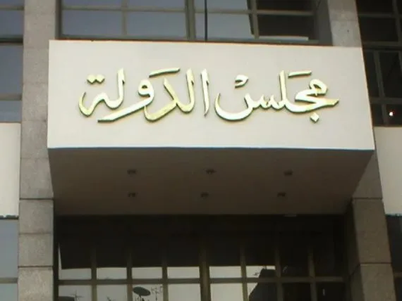 بكل شفافية.. كيف سيتم تنظيم انتخابات مجلس النواب القادمة؟