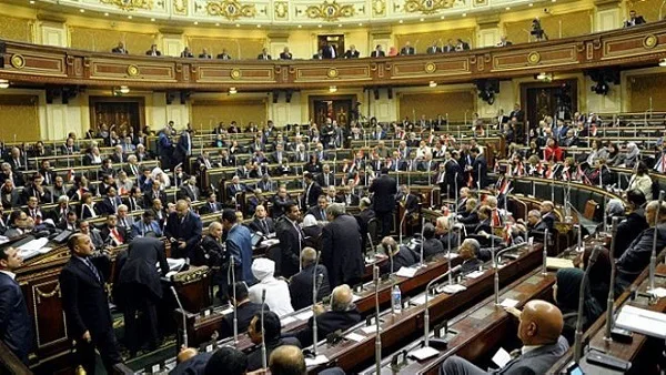برلمان "عبدالعال" يُنقذ المصريين.. "المصرية لحقوق الإنسان" تكشف الحقائق